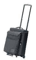 Carry-on Projector Case